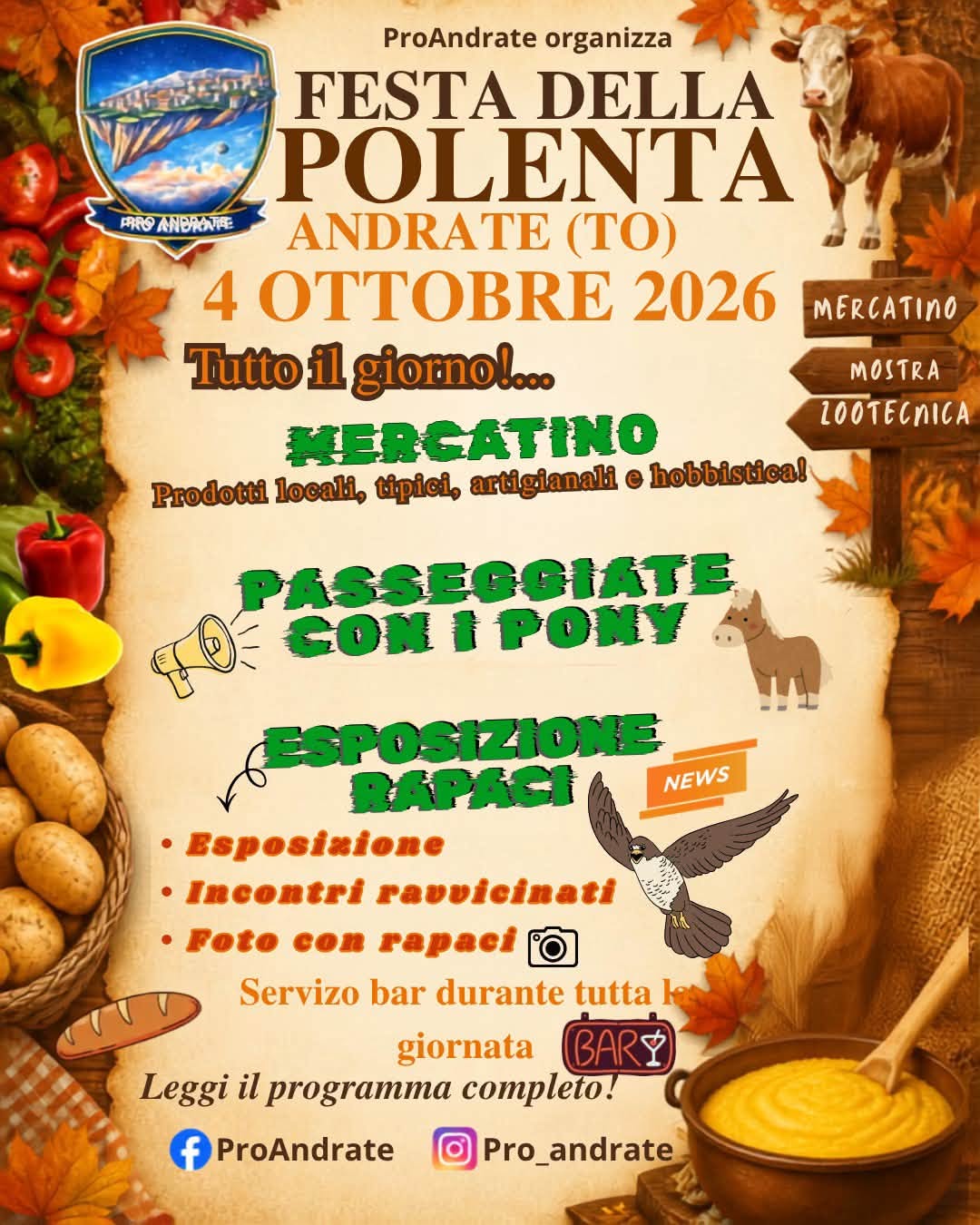 programma