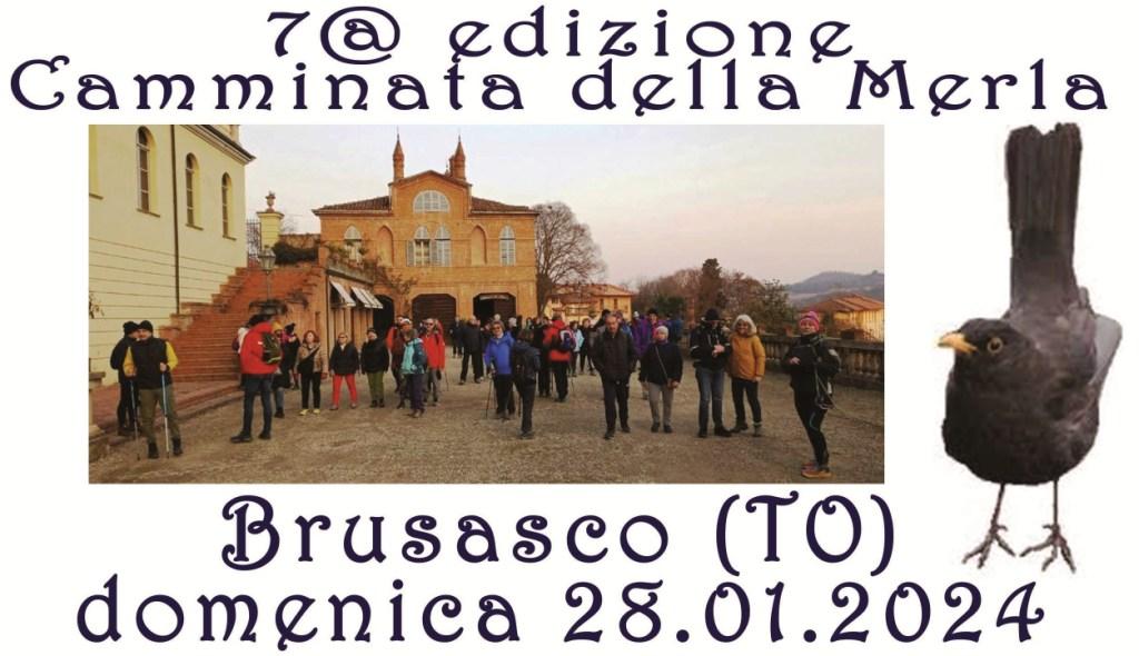 brusasco programma