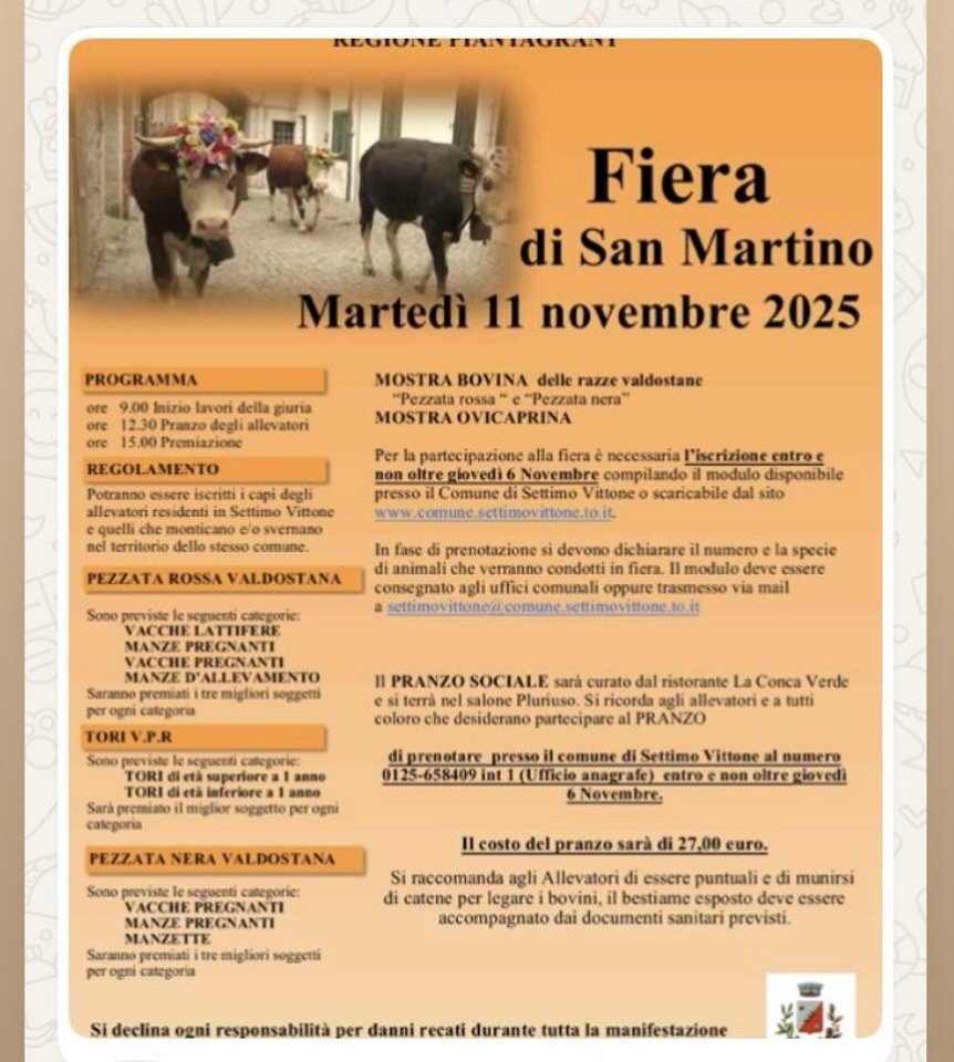 programma