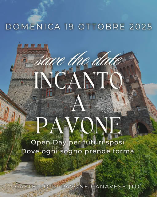 cena programma