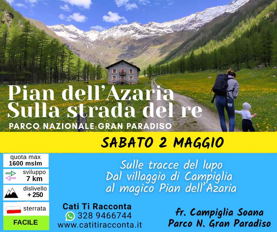 programma