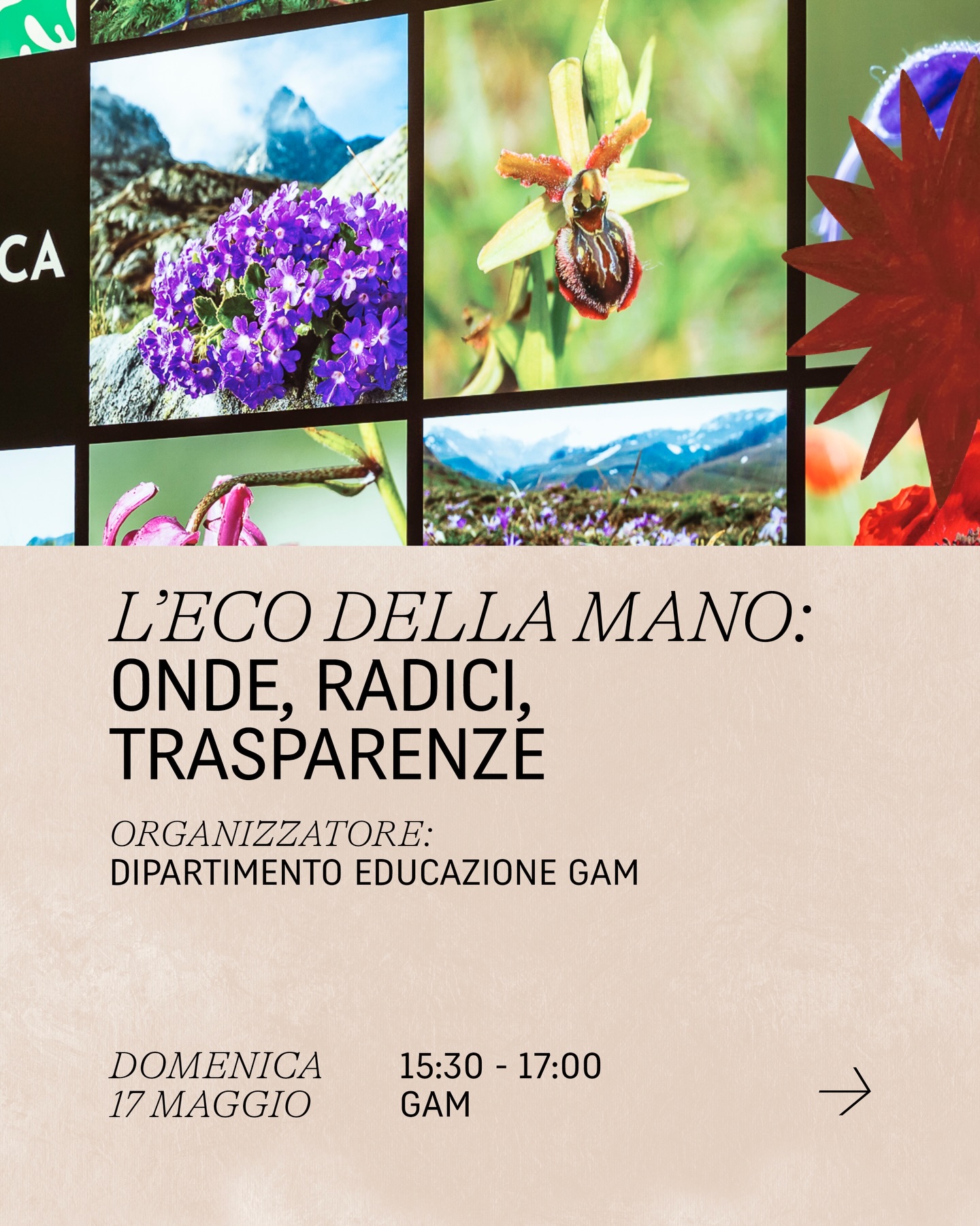 programma